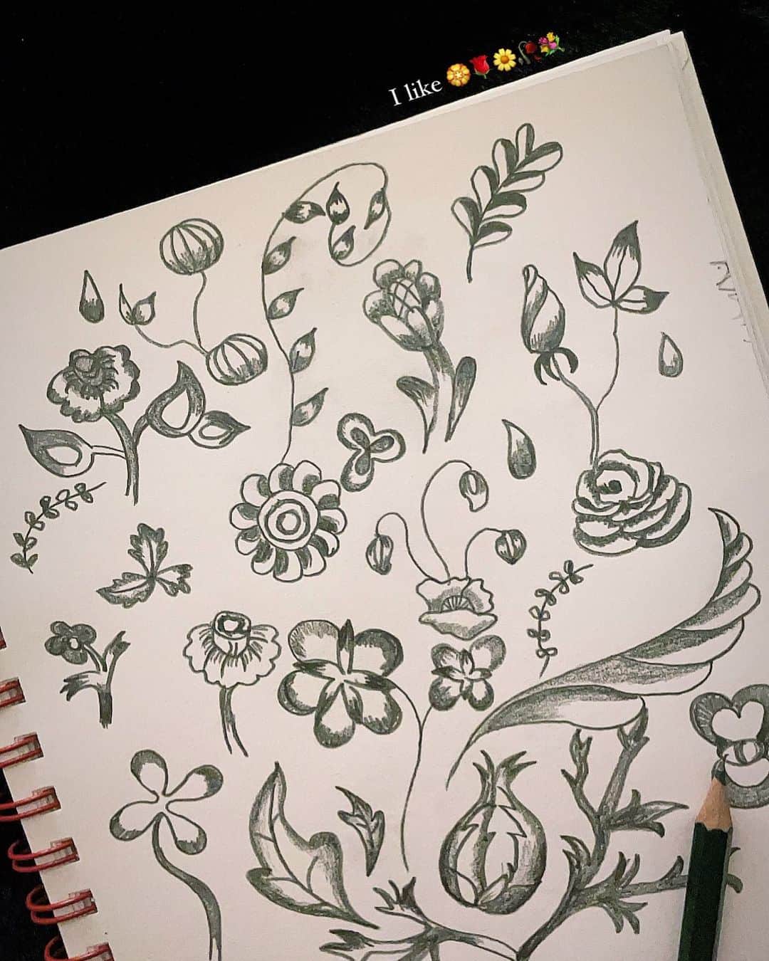 ヒョミン さんのインスタグラム写真 - (ヒョミン Instagram)「doodle.🏵🥀💐」1月12日 16時23分 - hyominnn