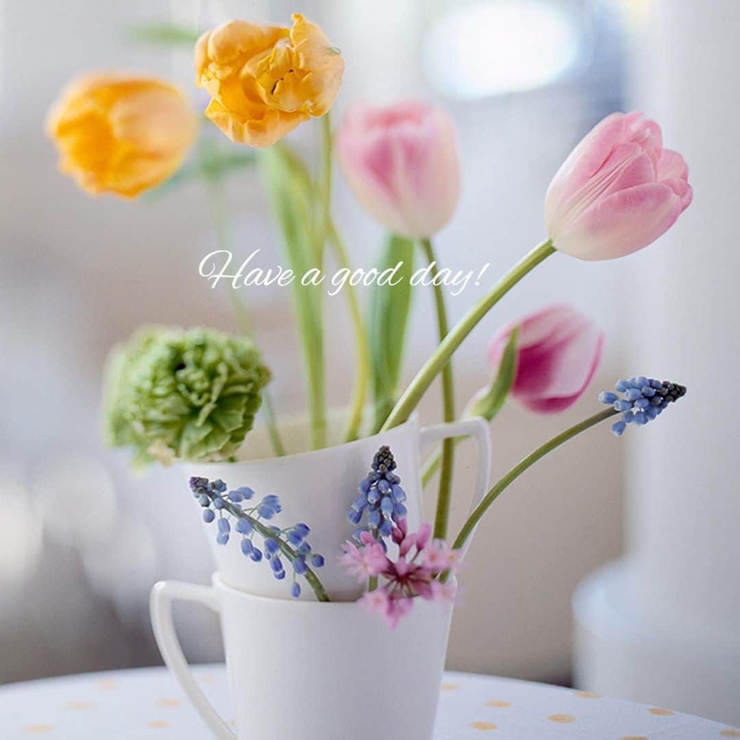 雑誌『花時間』さんのインスタグラム写真 - (雑誌『花時間』Instagram)「おはようございます。お花をいけた器に注目してみて！﻿ ﻿ そう、マグカップ☕️﻿ ﻿ ふたつ重ねて﻿ お花をいけているんです。﻿ ﻿ マグカップは ﻿ 深さのある器。﻿ ﻿ 少し長めのお花も﻿ いけられ、﻿ ずらして重ねると…。﻿ ﻿ 持ち手がストッパーになり、 下のカップとの間にも﻿ お花を挿せる 隙間が生まれるんです。﻿ ﻿ お花のための﻿ マグカップタワー🗼﻿ ﻿ ふだんなら同居しづらい﻿ 茎の長い花と短い花が﻿ 仲良くなれるアイデアです。﻿ ﻿ 写真のように、 持ち手の下側が すぼまっている タイプのマグで 試してみてくださいね！  ﻿では、本日も元気smile😊😊😊で頑張りましょう！ by ピーターパン﻿ ﻿ ﻿花 @森 春雄 写真 @masaki.yamamoto  #flowers #flowerslovers #flowerstagram #flowerarrangement  #花時間 #花時間2021  #花好き #花藝 #花好きな人と繋がりたい #花が好きな人と繋がりたい #花のある生活 #花のある暮らし #花を飾る #花を飾る生活  #チューリップ #ムスカリ #ツルバキア #マグカップ #かわいい花 #きれいな花 #ビタミンf #パステルカラー  #癒やしの花 #癒やしの時間  #おうち時間  #tulip #grapehyacinth  #花が好き #暮らしを楽しむ #花屋さんへ行こう」1月12日 8時14分 - hanajikan_magazine