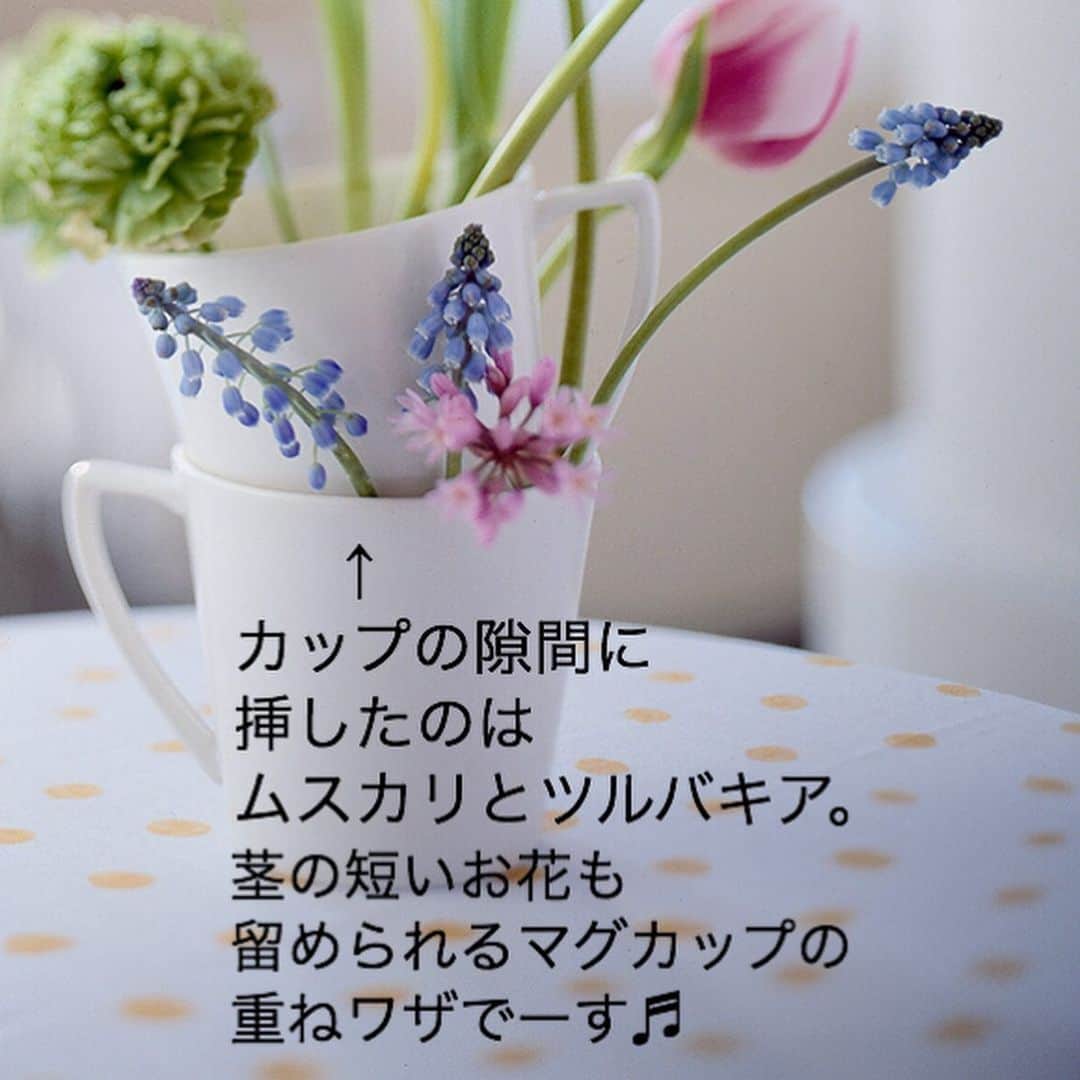 雑誌『花時間』さんのインスタグラム写真 - (雑誌『花時間』Instagram)「おはようございます。お花をいけた器に注目してみて！﻿ ﻿ そう、マグカップ☕️﻿ ﻿ ふたつ重ねて﻿ お花をいけているんです。﻿ ﻿ マグカップは ﻿ 深さのある器。﻿ ﻿ 少し長めのお花も﻿ いけられ、﻿ ずらして重ねると…。﻿ ﻿ 持ち手がストッパーになり、 下のカップとの間にも﻿ お花を挿せる 隙間が生まれるんです。﻿ ﻿ お花のための﻿ マグカップタワー🗼﻿ ﻿ ふだんなら同居しづらい﻿ 茎の長い花と短い花が﻿ 仲良くなれるアイデアです。﻿ ﻿ 写真のように、 持ち手の下側が すぼまっている タイプのマグで 試してみてくださいね！  ﻿では、本日も元気smile😊😊😊で頑張りましょう！ by ピーターパン﻿ ﻿ ﻿花 @森 春雄 写真 @masaki.yamamoto  #flowers #flowerslovers #flowerstagram #flowerarrangement  #花時間 #花時間2021  #花好き #花藝 #花好きな人と繋がりたい #花が好きな人と繋がりたい #花のある生活 #花のある暮らし #花を飾る #花を飾る生活  #チューリップ #ムスカリ #ツルバキア #マグカップ #かわいい花 #きれいな花 #ビタミンf #パステルカラー  #癒やしの花 #癒やしの時間  #おうち時間  #tulip #grapehyacinth  #花が好き #暮らしを楽しむ #花屋さんへ行こう」1月12日 8時14分 - hanajikan_magazine