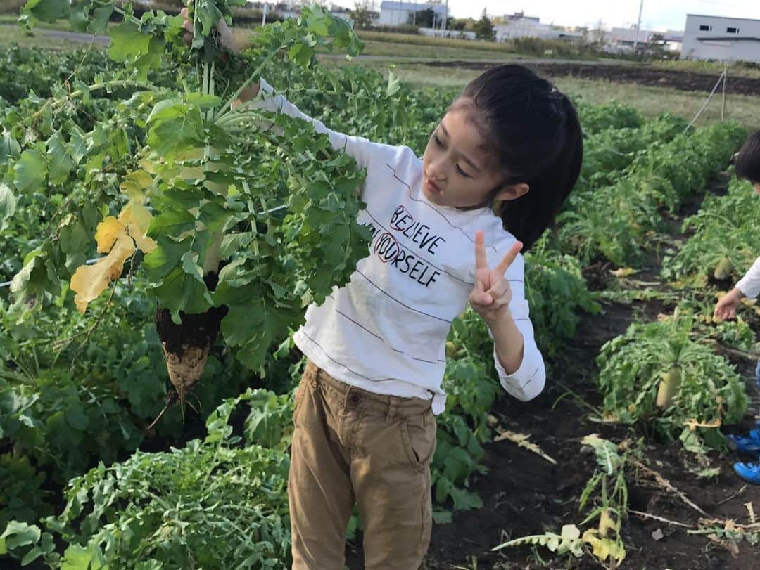 Sayaka.Mさんのインスタグラム写真 - (Sayaka.MInstagram)「. 日頃からスーパーでも北海道産食材を購入するのを心がけています🥰❤️北海道民としても勿論ですが、やっぱり美味しいんだよな〜 . 食材についても学びたいから農業体験👩‍🌾には 毎年何回か連れて行きます この時はピーマンもまるかじりしたりして（笑） 普段食べない野菜も、自分が収穫したら 食べたりするのが嬉しい😏✨ . そんな北海道産が好きな皆さんに❣️ な、ななんと🙌嬉しい道産食材があたる✨ アグリアクション北海道キャンペーン📣開催中 . JA北海道中央会の公式インスタグラム @ja_dosanko をフォローして、 道産食材の料理や食事、農作業(収穫など)の様子を ハッシュタグ #アグリアクション北海道 をつけて 投稿すると、その中から100名様に道産食材をプレゼント🎁  キャンペーン期間 2020年12月19日(土)～2021年2月28日(日) https://www.ja-hokkaido.jp/member/newinformation/3950/ . まだまだ、キャンペーン期間中ですので道産食材を使っての食事風景等で気軽に参加しちゃいましょう〜🙋‍♀️ . . #札幌ママ #北海道ママ #プレゼントキャンペーン #北海道産 #JA北海道 #pr #農作業 #北海道 #北海道グルメ #札幌グルメ #農業体験 #札幌市 #おうちごはん #朝ごはん #昼ごはん #夜ごはん #おうちご飯 #家ご飯 #家時間 #お弁当 #プレゼント #hokkido #sapporo #料理好きな人と繋がりたい #料理勉強中 #料理好き」1月12日 8時22分 - insta.sayaka