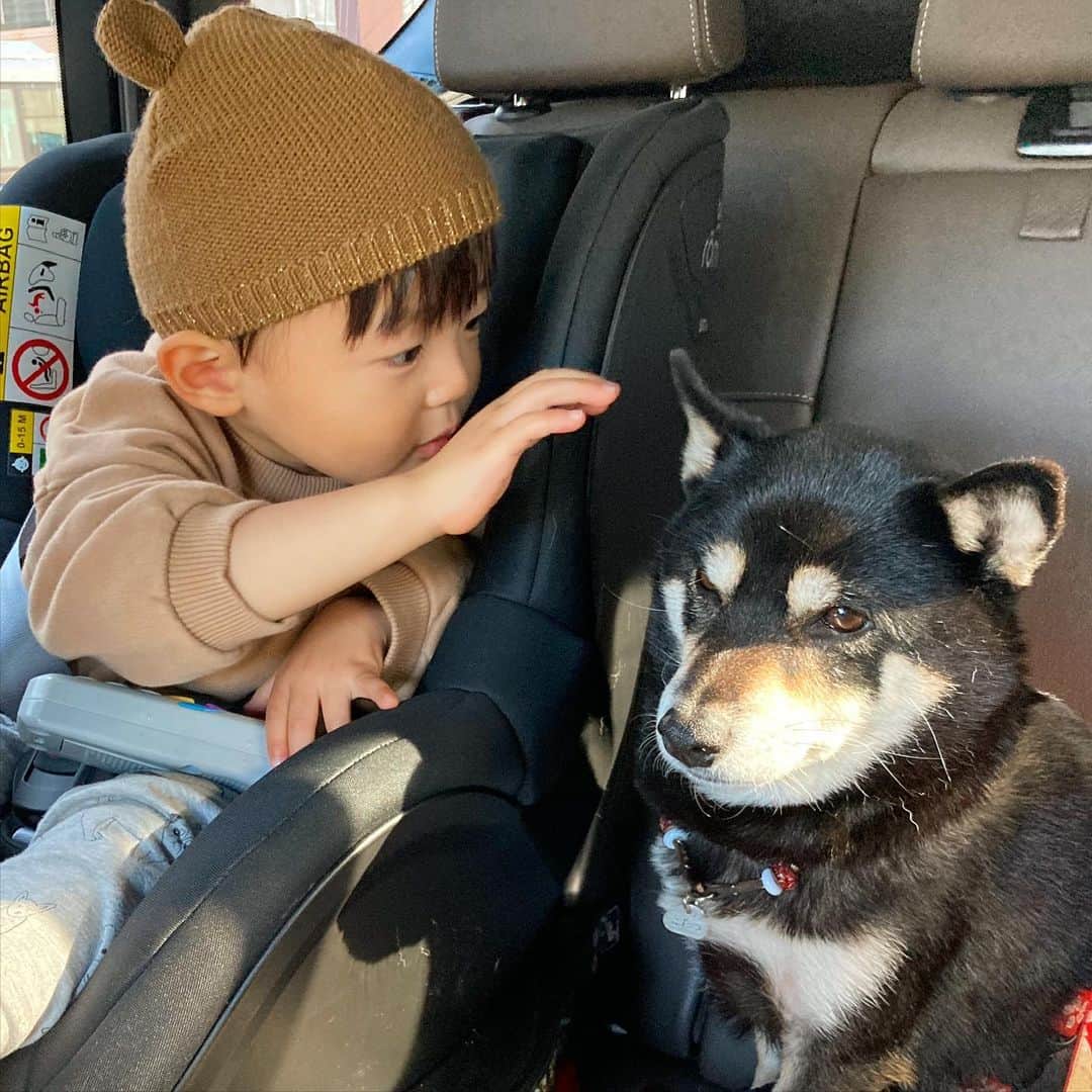 vo_coさんのインスタグラム写真 - (vo_coInstagram)「🐾👣 正月休みと三連休を経て また少し距離の縮まったお二人さん まあ未だに日に数回は唸られてるけど😂 ＊ #唸られても怖くない #ガンガン触りにいく #こたつとぼくちゃん #shibastagram #instashiba #shiba #shibainu #黒柴 #柴犬」1月12日 8時23分 - vo_co
