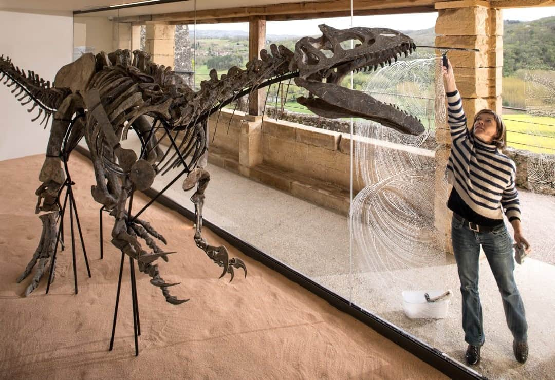 ナショナルジオグラフィックさんのインスタグラム写真 - (ナショナルジオグラフィックInstagram)「Photo by @gabrielegalimbertiphoto and Juri De Luca / Fossils of long-extinct creatures aren’t just for museums. Today they're in homes and businesses, as wealthy collectors indulge a controversial hobby.  At the Hanging Gardens of Marqueyssac in France, communications officer Stéphanie Angleys cleans the display case of a 150-million-year-old Allosaurus. Owned by French businessman Kléber Rossillon, the gardens are open to the public. Rossillon acquired the dinosaur—whose skull is among the best preserved in the world—in 2016, a few years after it was found in Wyoming. #dinosaur #fossil #extinct #dinosaurs」1月12日 8時35分 - natgeo