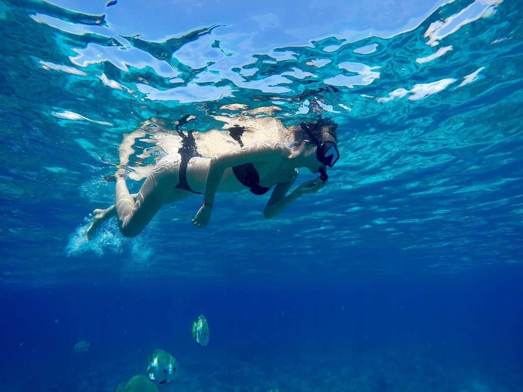 美馬寛子のインスタグラム：「Crystal clear 🐠 🤿  . . . . . #beautiful #vacation #holiday #tbt #nature #travel #bikini #philippines #palawan #island #swim #sealife #beach #tan #explore #turtle #mermaid #snorkelling #fish」