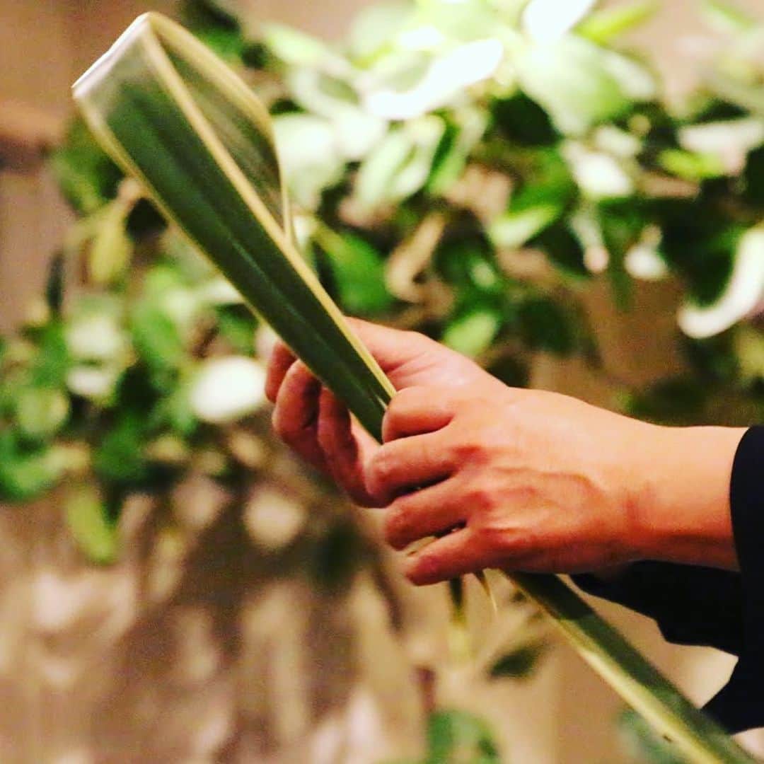 宮田麺児のインスタグラム：「もくもくと　生花パフォーマンスの練習。  #生花 #花いけ #花のある暮らし  #生花パフォーマンス #私自体が花 #花酒師 #華道#名もなき花もいとおしい #花#美」