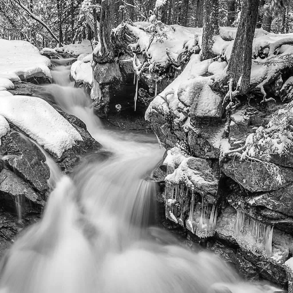 Tim Lamanのインスタグラム：「Photos by @TimLaman.  Happy New Year everyone!  The beauty of nature always brings solace in times of turmoil.  This is the first fresh snow of the New Year, photographed Jan 2 in New Hampshire.  I’ve been on a bit of an instagram holiday, spending time with family, hiking and skiing in the local woods and mountains, and away from social media for a while.  I find we have gotten off to a rather rocky start to 2021 here in the US, but I’m optimistic things will improve in the near future.  All the best for 2021! #NewEngland #B&W #NewHampshire #frozen #stream #snow」