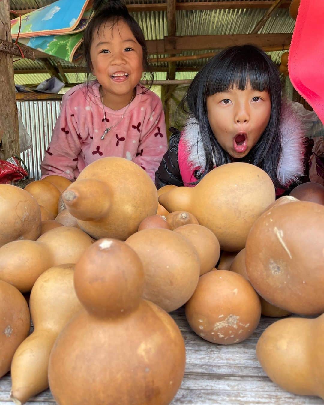 Amata Chittaseneeさんのインスタグラム写真 - (Amata ChittaseneeInstagram)「😆😆😆😆🌈✨ #gourds #Akha #pearypieamazingthailand」1月12日 9時32分 - pearypie