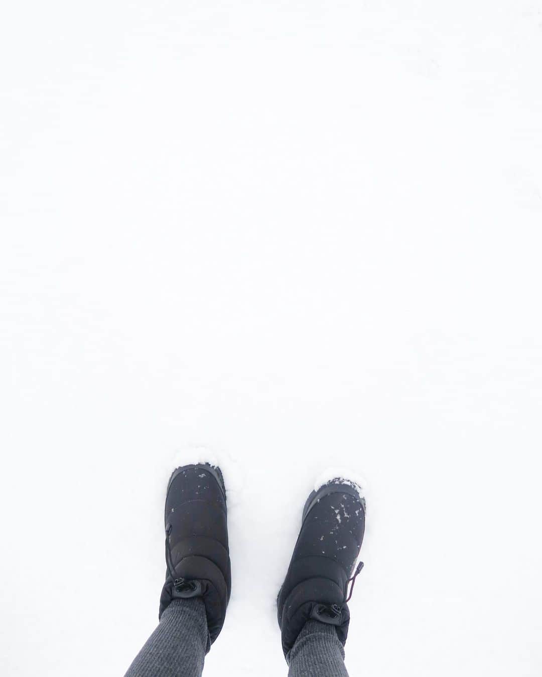 Mai Wakimizuのインスタグラム：「びっくり！朝起きたら真っ白！この冬1番の雪＼(^o^)／とりあえずテンション上がって外に出てみた♡笑  #雪#snowday」