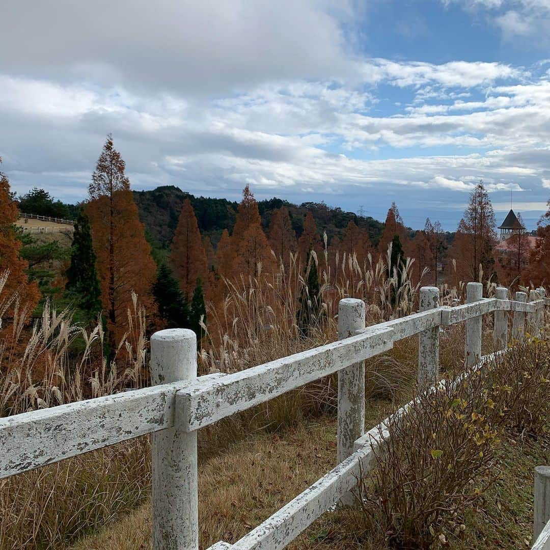 涼川菜月さんのインスタグラム写真 - (涼川菜月Instagram)「🐄﻿ ﻿ ﻿ ﻿ ﻿ また行きたい六甲山牧場﻿ ﻿ ﻿ 心が牧場を求めています💭﻿ ﻿ ﻿ ﻿ ﻿ ﻿ ﻿ #六甲山牧場 #牧場 #兵庫旅行」1月12日 9時38分 - nachia_p