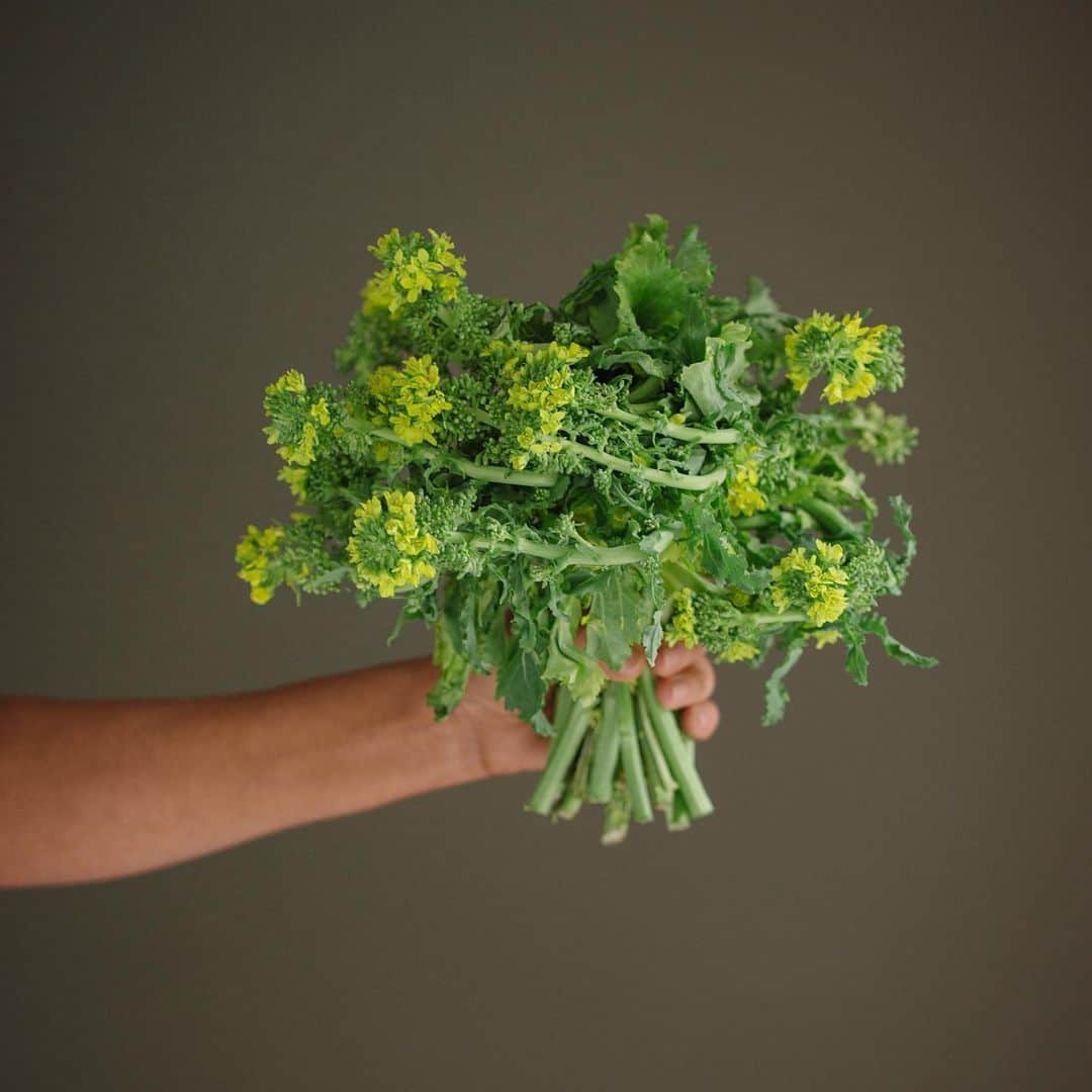 ティファニー・ティーセンのインスタグラム：「Here’s to continuing my clean eating this week #motivationmonday」