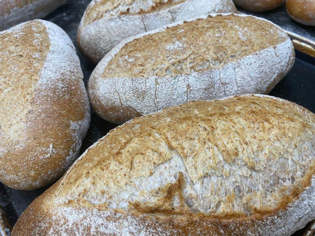 魔女菅原のグルメインスタ