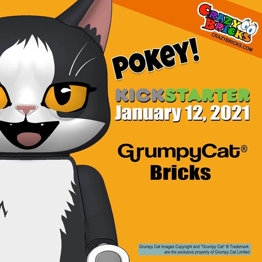 Grumpy Catのインスタグラム：「Launching Tomorrow! Grumpy Cat Brick Minifigures from @getcrazybricks goes live on @kickstarter! Click the link to set your reminder and take advantage of Day 1 perks! https://www.kickstarter.com/projects/crazybricks/grumpy-cat-bricks?ref=clipboard-prelaunch (Link in Story!)」