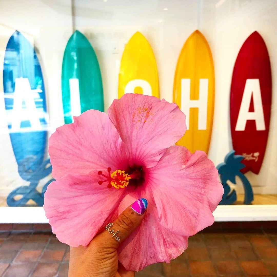 shihoのインスタグラム：「💗🌺💗🌺💗 ・ Hawaiiでは周りの景色、 上を見上げれば真っ青な空、 足元を見れば綺麗なままの プルメリアやハイビスカスが 落ちていたりするから 上から下から 見るところ満載！目が離せない。 ・ 綺麗な南国のお花が落ちていると つい夢中で拾ってはっぴーな気分になって 写真を撮りたくなっちゃうよね🥰💗 ・ #hawaii#islandofoahu#oahu#ハワイ#trip #オアフ島#travel#loco_hawaii#travel_jp #funtorip#タビジョ#旅MUSE#genic_travel #genic_mag#たびねす#旅行#genic_hawaii #honolulu#ワイキキ#waikiki#hotel#oahuhawaii #tabijyomap_hawaii#lealeahawaii#2021」