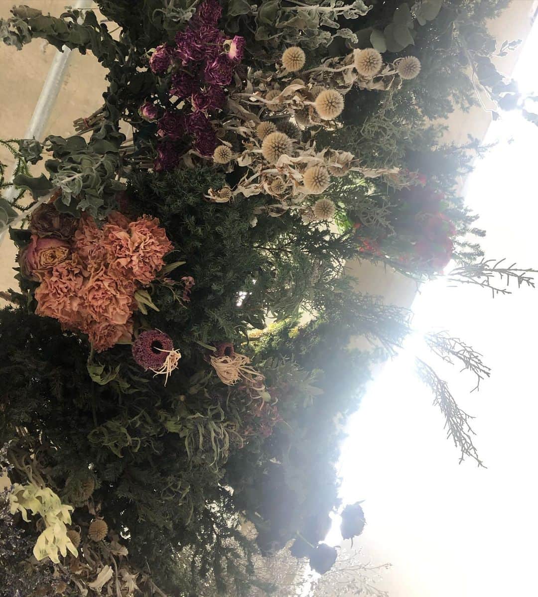 阿部洋子さんのインスタグラム写真 - (阿部洋子Instagram)「❁❀✿✾❁❀✿✾❁❀✿✾ #前田有紀 さんの お花の個展、 #色を纏う花展  行ってきました！  フラワーロスに取り組む前田さんが、 農家さんたちから仕入れたお花たちで 素敵なドレスを制作♡  中央奥のフラワードレス、 着てみたい～！ 色合いも好み～  お花の違ったたのしみを感じてきました💞  #nofilter」1月12日 16時55分 - hirocoring