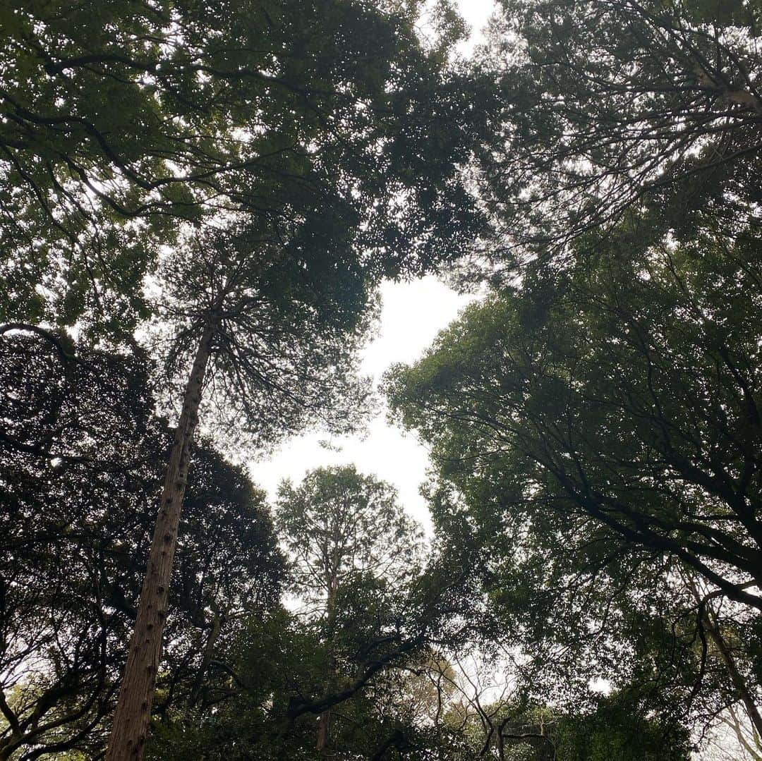 徳重杏奈さんのインスタグラム写真 - (徳重杏奈Instagram)「⛩﻿ 明治神宮で #厄祓い﻿ ﻿ 心穏やかな一年でありますように🙏﻿ ﻿ わたしの厄だけでなく﻿ 世の中のいろいろなものも﻿ 祓ってくれますように🙏﻿ ﻿ 密を回避するために﻿ 天気が悪い日を選んだおかげか﻿ 同じ時間帯に3人しかいませんでした。﻿ ﻿ 去年熱田神宮でいただいたお札は﻿郵送で返納。﻿ 一年間ありがとうございました😌﻿ ﻿ ﻿ ﻿ #去年の厄祓いは基起さんに付き合ってもらった #厄祓い #後厄 #明治神宮 #名古屋 #アナウンサー #徳重杏奈」1月12日 16時56分 - anna.tokushige