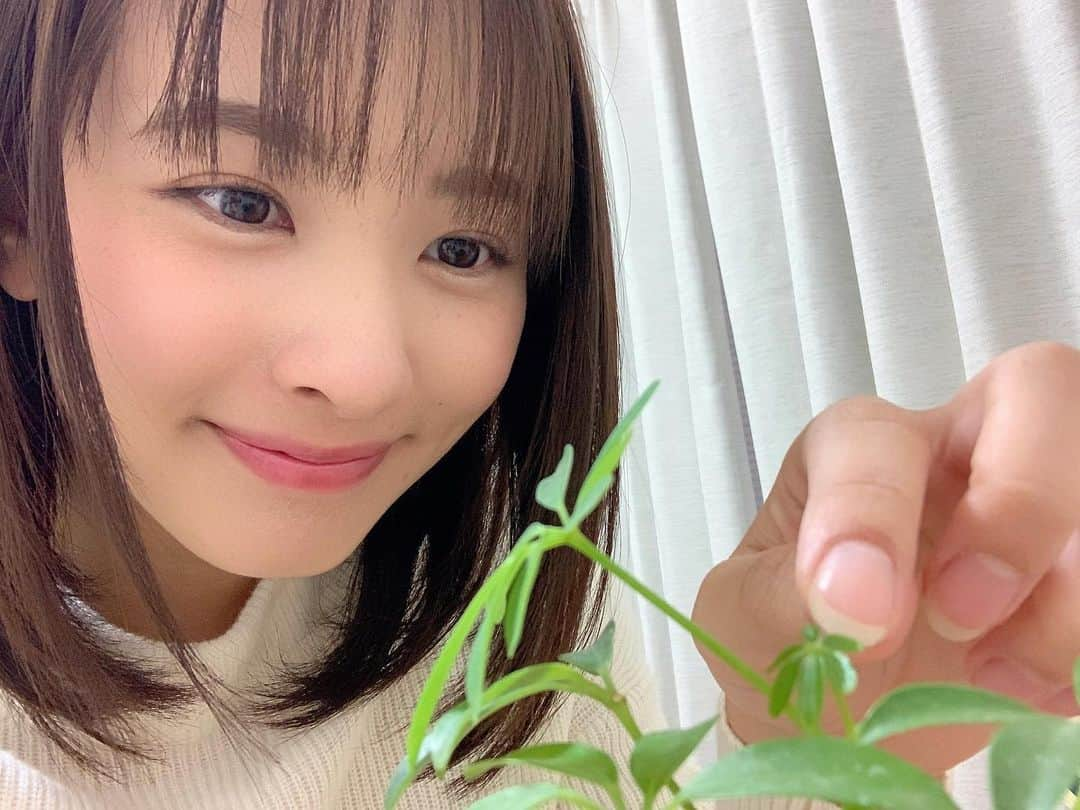 河出奈都美のインスタグラム