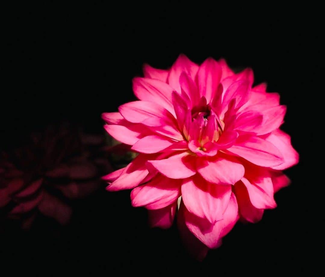 宮内 孝之 花飾人 花の妖精のグルメインスタ