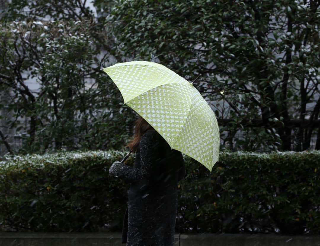 KOZLIFEさんのインスタグラム写真 - (KOZLIFEInstagram)「冬になるとカラフルになる人、落ち着いた色を好む人、いろいろですよね。 どんな方にもおすすめなのが、こちらの傘。  カラーバリエーションが豊富なのも理由の1つですが、 なんといってもこの北欧テキスタイルが素敵です。  -登場したアイテム- kura common by Lisbet Friis/フラワーパワーアンブレラ  ◎商品は当店トップページのバナーorプロフィールのURLからどうぞ。 ▶︎ @kozlife_tokyo  #KOZLIFE #japan #LoveFoodLoveLife #Interior #instahome #instagood #instajapan #livstagrammer #myhome #kuracommon #lisbetfriis #暮らし #北欧インテリア #北欧雑貨 #インテリア #丁寧な暮らし #シンプルライフ #暮らしを楽しむ #リズベットフリース #フラワーパワー #テキスタイル #お気に入り #傘 #北欧デザイン #雨の日 #雪の日」1月12日 12時00分 - kozlife_tokyo