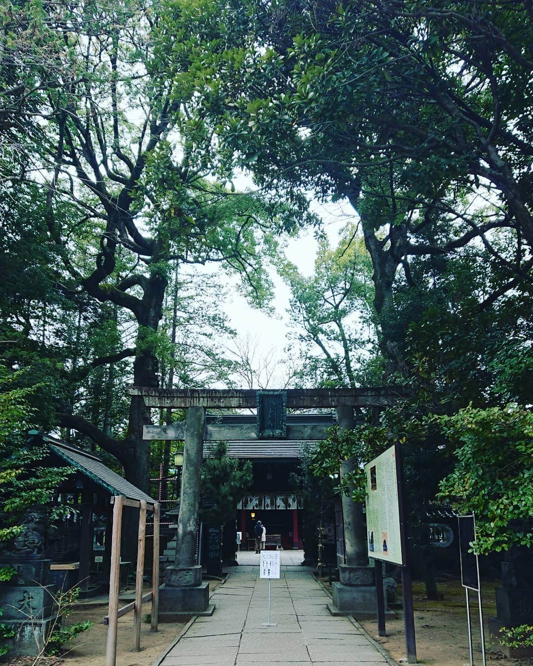 工藤亜耶のインスタグラム：「最近、早くに起きるので、神社にお参りに行ってます(^O^)  なんとなく、いい気が貰える気がする(^_^)  モヤモヤする、このご時世。 気分転換(^O^)  #神社」