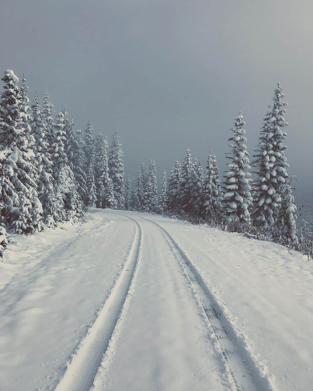 Kyle Kuiperのインスタグラム：「Over the mountain and through the woods...」