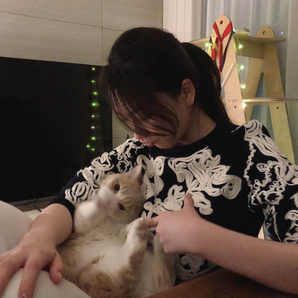 知英さんのインスタグラム写真 - (知英Instagram)「우리집에 진짜 귀여운 고양이 있는 거 안비밀 🥲」1月12日 12時48分 - kkangjji_