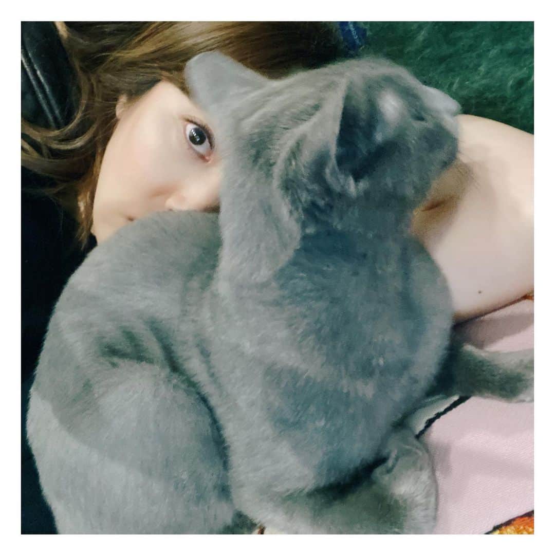 ソン・ダムビさんのインスタグラム写真 - (ソン・ダムビInstagram)「에곤아😍😍😍」1月12日 12時55分 - xodambi