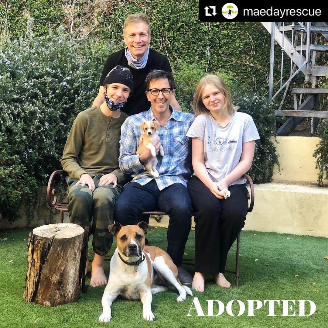 ダン・ブカティンスキーのインスタグラム：「@maedayrescue thank you!! FOLLOW Robbie ON IG at @robbiepuppypix !! @adoption #puppy #monday」