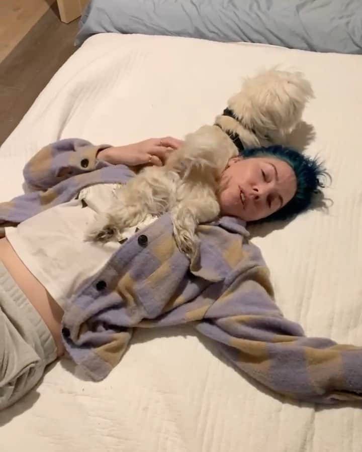 ウィットニー・カミングスのインスタグラム：「Are all small dogs this entitled?」
