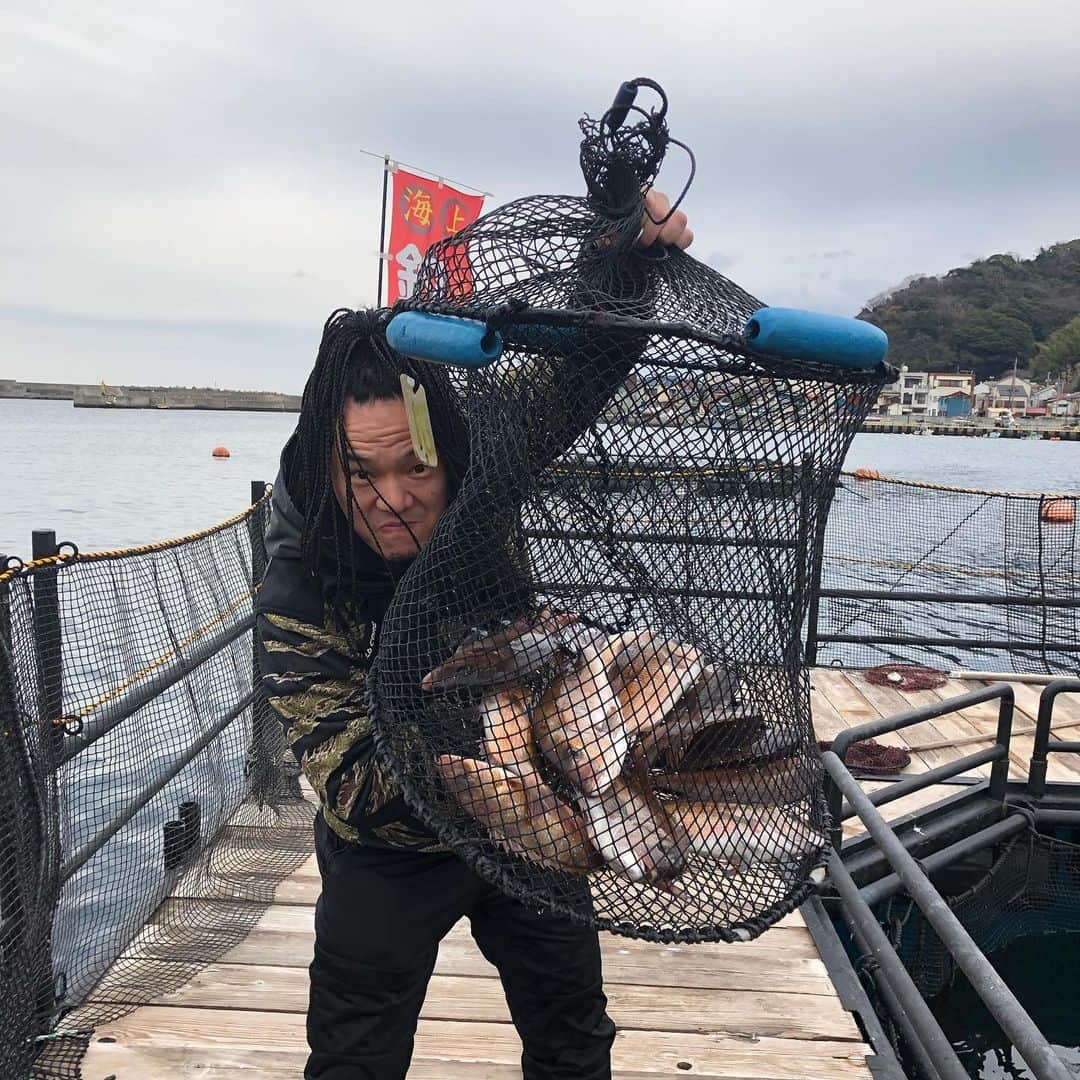 やべきょうすけさんのインスタグラム写真 - (やべきょうすけInstagram)「先日の今年の初釣り  仲間たちと釣りに行った！ 仲間たちがリサーチしてくれたポイントに行って、夕間詰、朝間詰をしたが… 一匹も釣れず！  折角来て、このままボウズでは帰れん！っとなって！ 海の釣り堀に行って！ 1人、鯵を5匹、鯛を2匹ずつ釣って！ 美味しく料理していただき！ 残りは持って帰って、後日たらふく食った！  今回は、鯵と鯛の下処理にも初挑戦！ 慣れた仲間に教えてもらい！ 鱗を取って、エラとワタを取った！ この処理を素早くしておくことで魚の鮮度が保たれる！  おかげで家でも美味しく食べれた！  釣りは釣れなくても楽しいが… そりゃ〜釣り堀でも釣れたらメッチャ嬉しいね！  さぁ〜次はどこで何を釣ろうかな〜…  こんな状況なんで何も決めてないが！ またいつでも釣りに行けるように！ 道具の手入れと準備は常に万全にしてある！  #やべきょうすけ  シーバスロッド エギングロッド 磯防波堤投げ竿 トラウトロッド 鱒レンジャー  気がつけば竿の種類も増えた！  リールは… 2000、2000、2500、3000、3000、4000と6つになった！  タックルバッグも充実してるし！ バッグもショルダーバッグも釣り場によって変えれるだけの物も揃った！  あとは… リラックス出来る心地良い折り畳み椅子があれば、ほぼ完成だ！  …そしてその先は…  キャンプ用品が待ってるだろう！ww」1月12日 13時40分 - yb4ksk