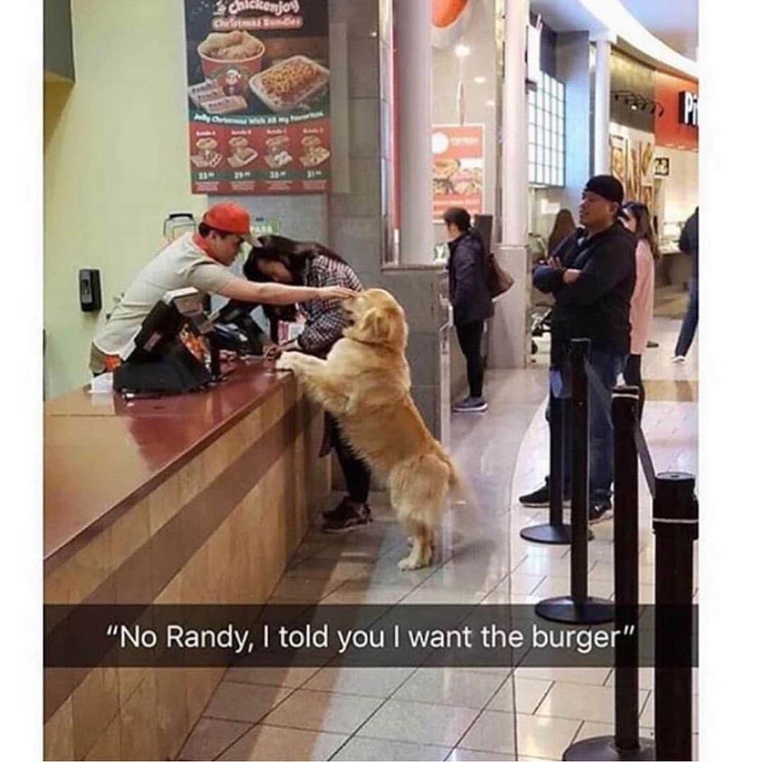 BarkBoxのインスタグラム：「C’MON RANDY」