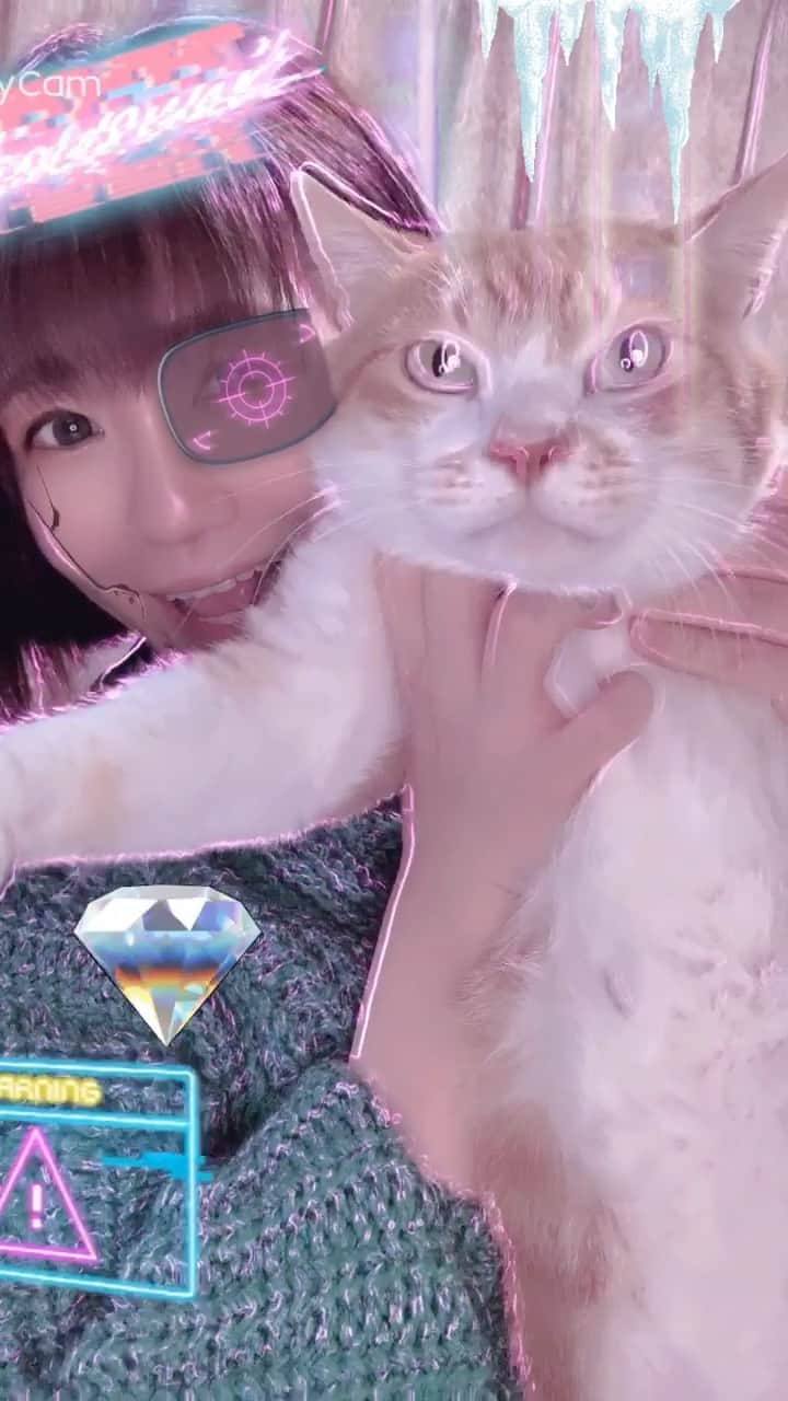 マコ・プリンシパルのインスタグラム：「ある寒い寒い日の、Cyberニーニーちゃんと私🐈⚡️⚡️ music : ice ice baby（ @macominaming ）」