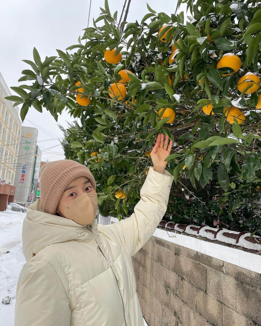 ハン・ジヘのインスタグラム：「제주의 겨울은 조용..하네요 ㅎ (지난주 사진이예용)」
