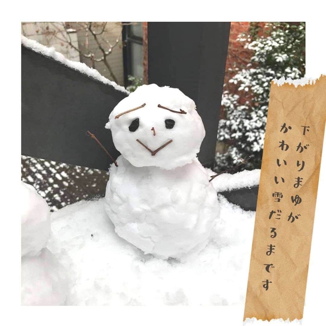 株式会社 新大陸さんのインスタグラム写真 - (株式会社 新大陸Instagram)「先週から全国的に寒さ厳しい日が続いております。  福岡でも珍しく雪が積もり、新大陸・福岡オフィスのお昼休みに行われたのはメンズスタッフによる雪だるまづくり。  ものづくりが好きなスタッフ揃いの福岡オフィス。  雪の冷たさに手のひらがかじかみながらも、時を忘れて雪を固めつくります。  両手にちょこんと乗るサイズの、かわいい雪だるまたちが出来上がりました！  #新大陸 #shintairiku #sns #マーケティング #ウェブマーケティング #SNSマーケティング #浜松 #東京 #大阪 #福岡  #雪  #雪だるま #snowman」1月12日 14時59分 - shintairiku.co.ltd