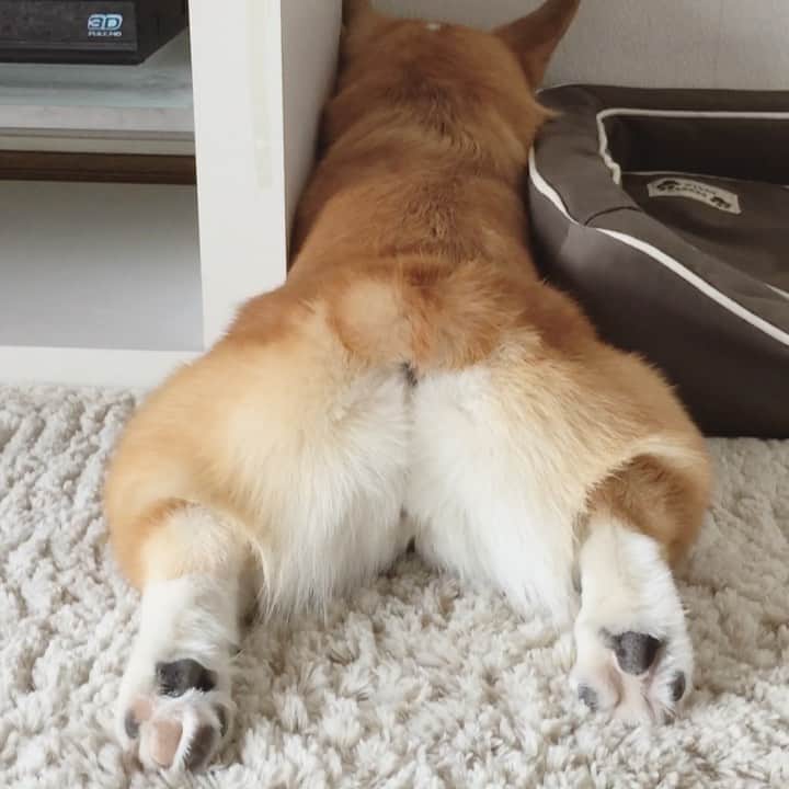 さゆりのインスタグラム：「◡̈⋆2021.1.12.Tue.◡̈⋆ coochie-coochie-coo‼️😅🤣👌🍑 * おしりセット🍑🤣🤣🤣✌️ * * * * * * *」