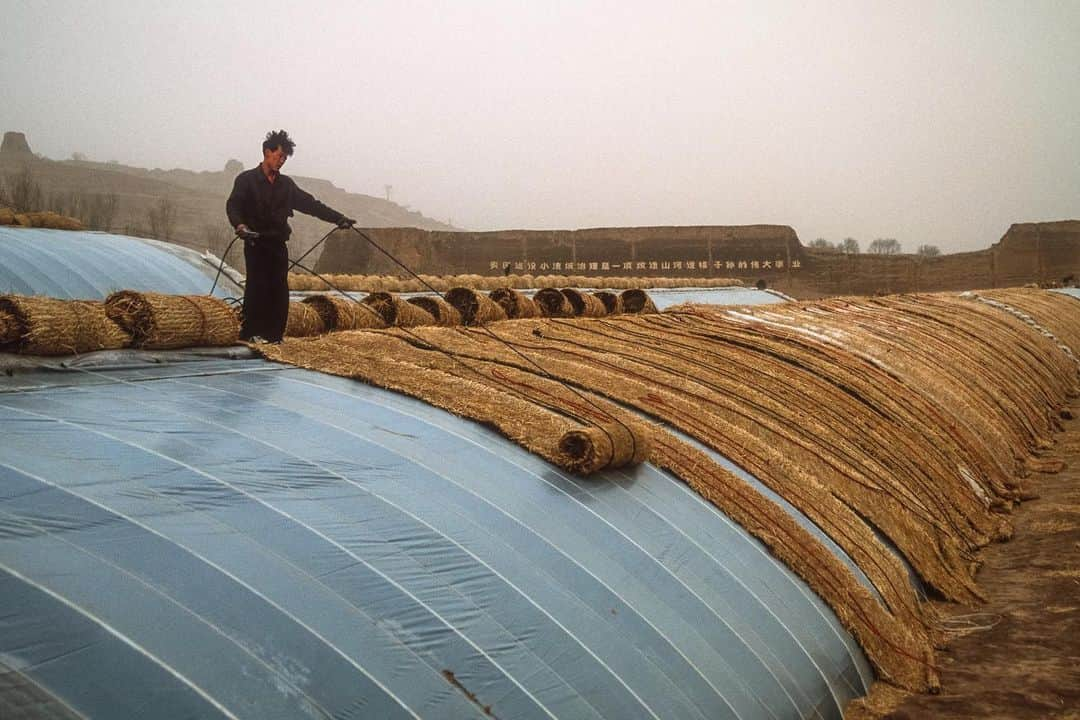 Michael Yamashitaさんのインスタグラム写真 - (Michael YamashitaInstagram)「Plastic solar greenhouses dominate the landscape along the Great Wall in northwest China, making farming a year-round occupation. Keeping a hot house warm in winter requires a blanket made of rice straw for insulation.  Raised at dawn to capture the sun and lowered at sunset to slow heat loss, the inside temperature stays warm enough to grow cucumbers in near freezing temperatures. China accounts for more than 90 percent of passive solar greenhouse use worldwide. #greenhouses #hothouse #passivesolar #greatwall #greatwallofchina」1月12日 15時08分 - yamashitaphoto