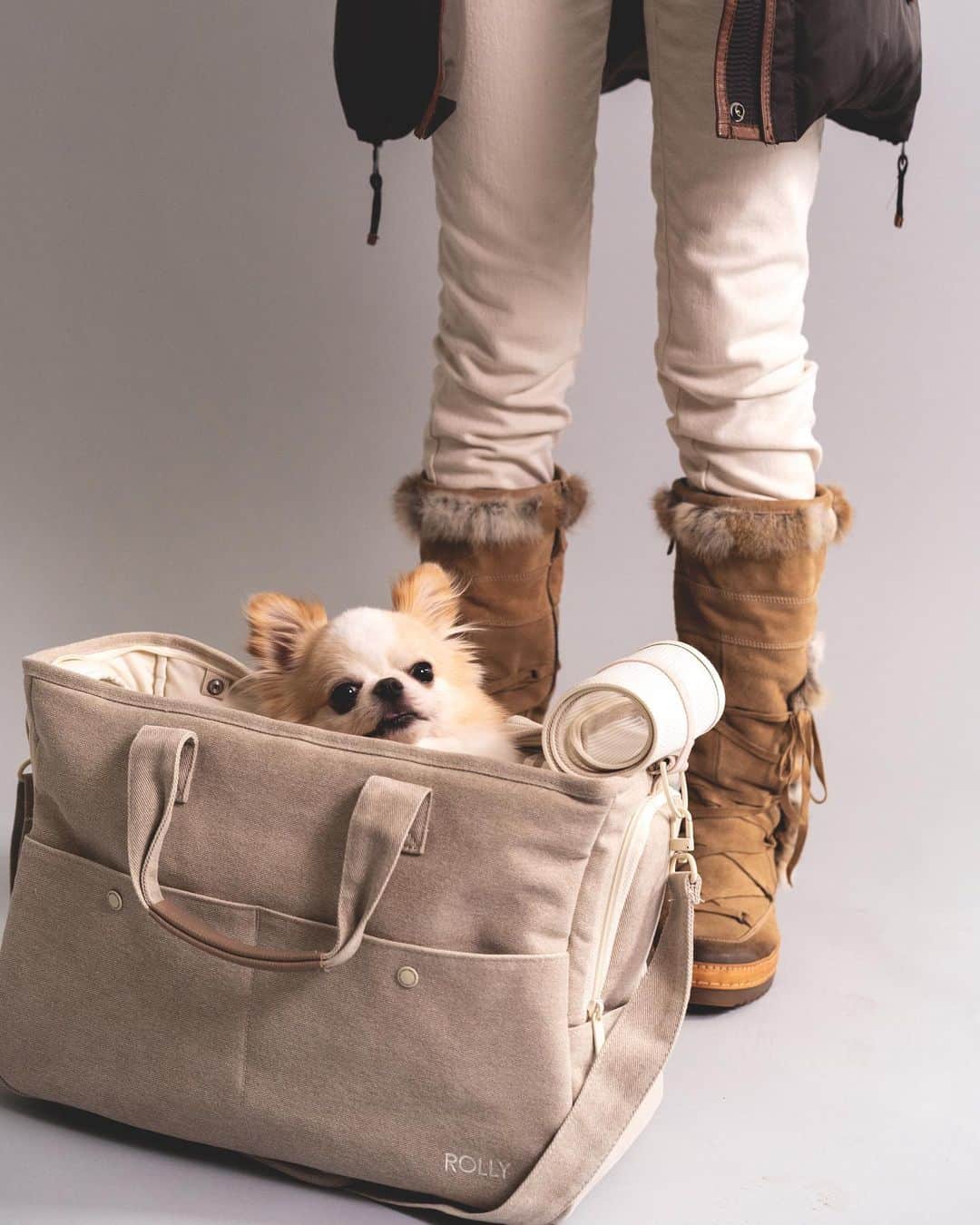 Rolly Pups INCさんのインスタグラム写真 - (Rolly Pups INCInstagram)「Take your precious fur baby with you everywhere you go. For your comfort and along with your fur baby’s. The ‘Travel Carrier’ by ROLLY.」1月13日 1時03分 - kpups.official