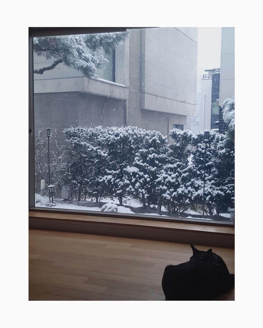 チョン・ソミンのインスタグラム：「☃️🐶 고요하고 잔잔한 풍경 그리고 그녀의 뒷모습」