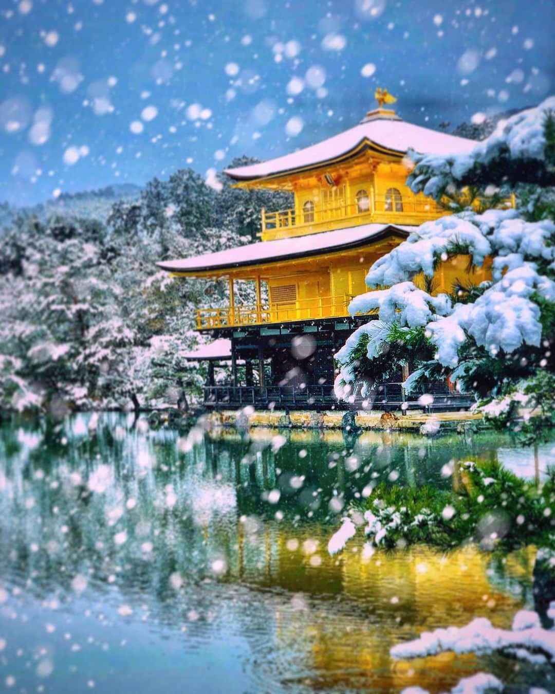 Hama Aki Pppさんのインスタグラム写真 Hama Aki Pppinstagram 京都市北区 金閣寺 鹿苑寺 Location Kyoto Japan Kinkakuji 伊勢志摩の写真を休憩して編集し直した過去picを 日本の絶景 美しい日本 こころから 寺社仏閣 寺院仏閣 タビジェニ 神社 神社