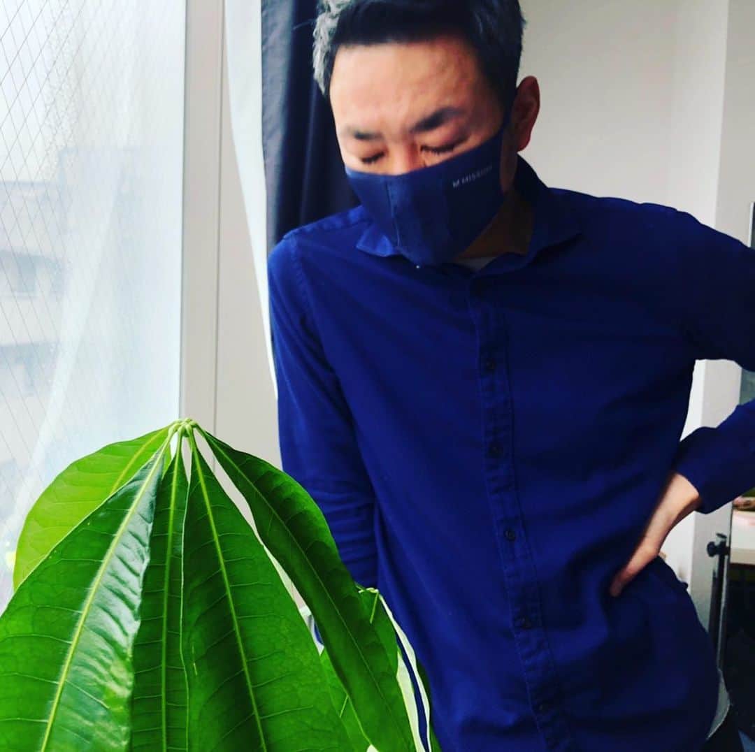 宇田川大輔さんのインスタグラム写真 - (宇田川大輔Instagram)「お気に入りに登録。#mission  #sportmask  #おすすめマスク　#missionmask  #mask」1月12日 17時36分 - udagawadaisuke