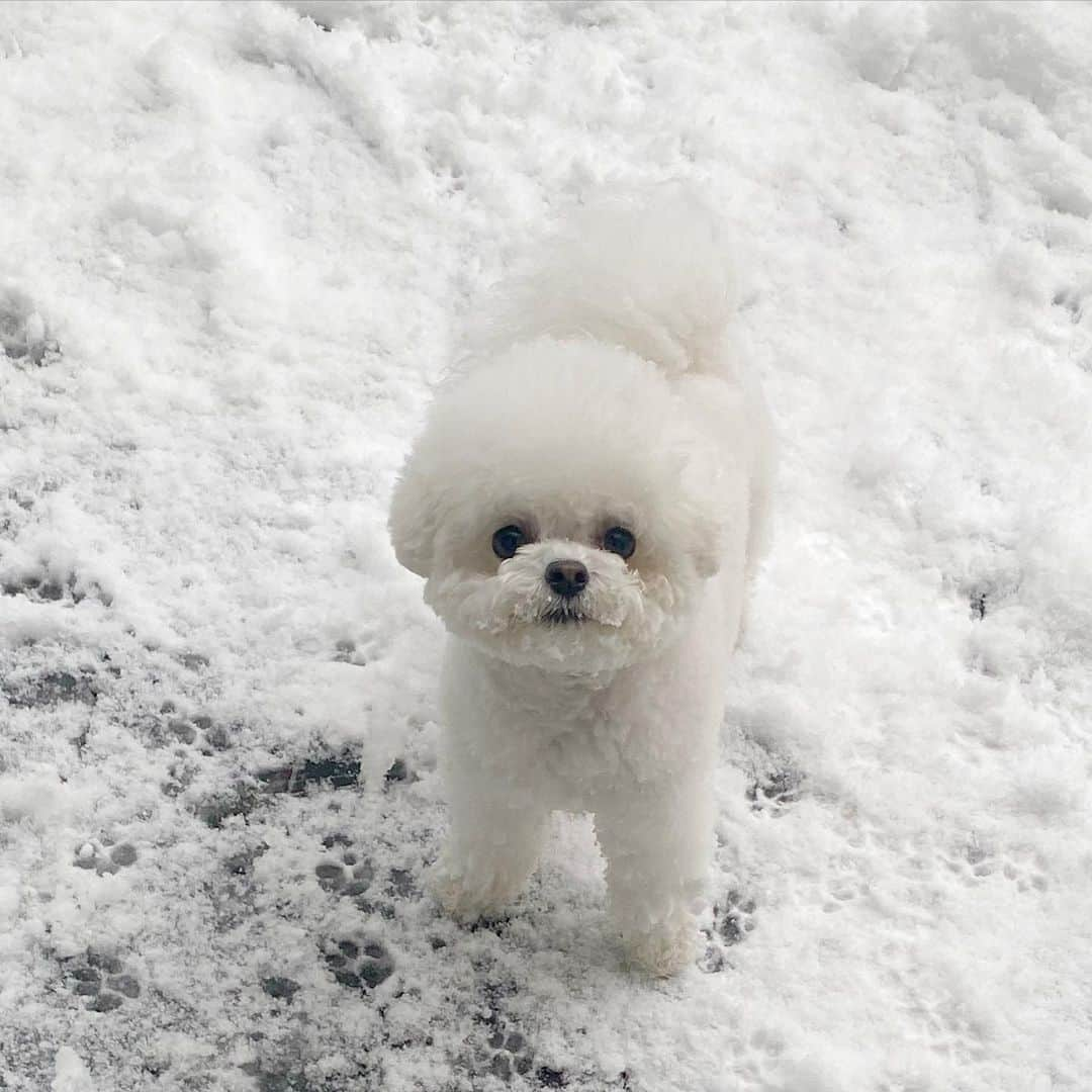 カン・ミンギョン さんのインスタグラム写真 - (カン・ミンギョン Instagram)「눈 ~_~ 🤍」1月12日 17時33分 - iammingki