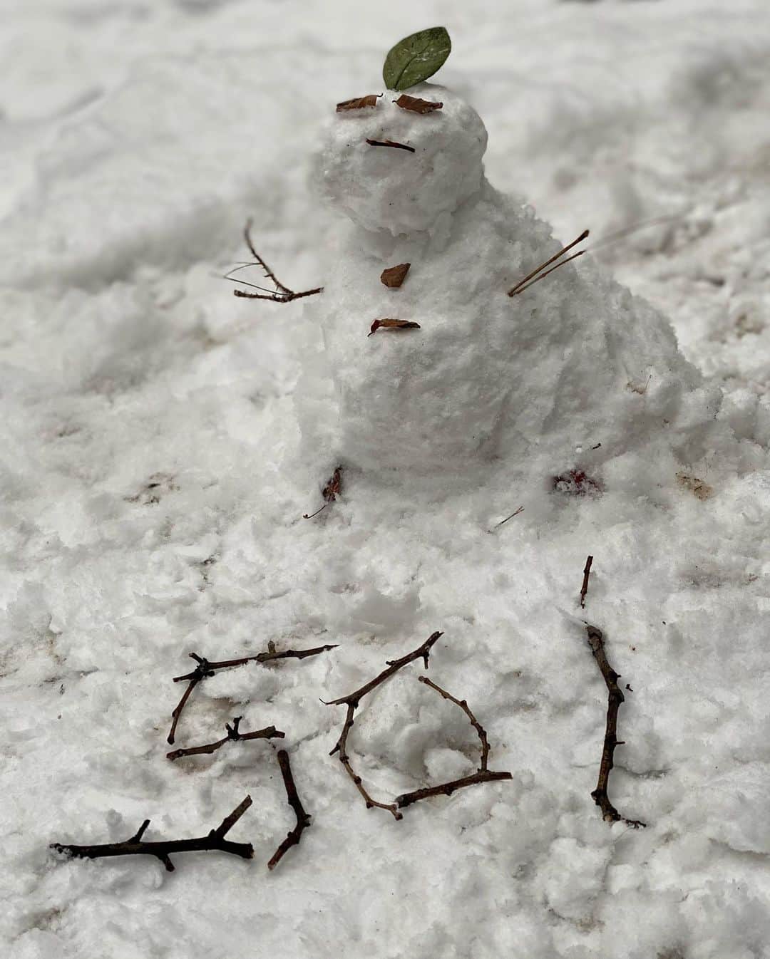 キム・ソナさんのインスタグラム写真 - (キム・ソナInstagram)「☃️☃️☃️ #snowday  사랑하고 보고싶은 조카들❤️Soi❤️Kai❤️에게 눈사람 만들어서 보여주려구~~ 오랫만에 ~~😷💃  #staysafe #눈사람」1月12日 18時39分 - kimsuna_official