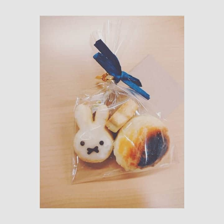 桜羽萌子さんのインスタグラム写真 - (桜羽萌子Instagram)「🐰🐰🐰🍪  お仕事先で、いつもお疲れさまですミッフィーちゃんすきなイメージだったので...っていただきました。 かわいい...やさしさが染み入る...そしておいしい🤭 寒さに挫けず明日もがんばろう。 . . . . . . . . . . . . . . . . . . . . . . . . . . . #ミッフィーちゃん  #ミッフィー #うさこちゃん #ミッフィークッキー  #小さな幸せ  #miffy  #miffyforever  #クッキー #お菓子 #日々 #暮らし #うさこ #手作りおやつ #手作りお菓子 #ミッフィー好きと繋がりたい #followme #miffylover #miffyfans #dickbruna」1月12日 18時40分 - tktkpengin