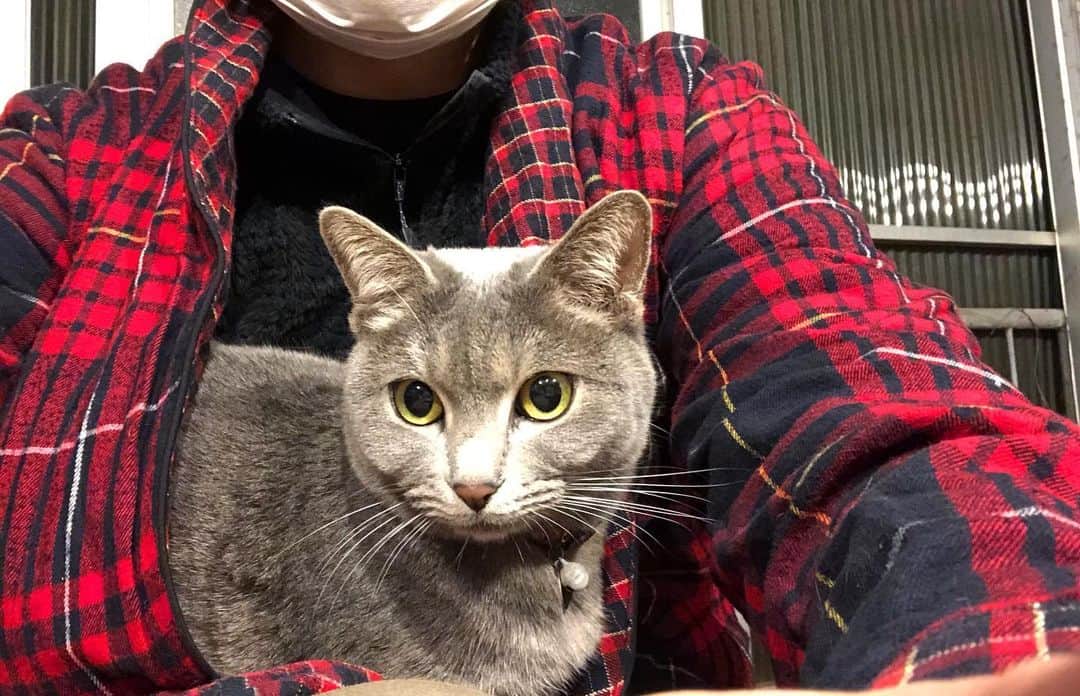 金成公信のインスタグラム：「懐に入ってくれました^ ^」
