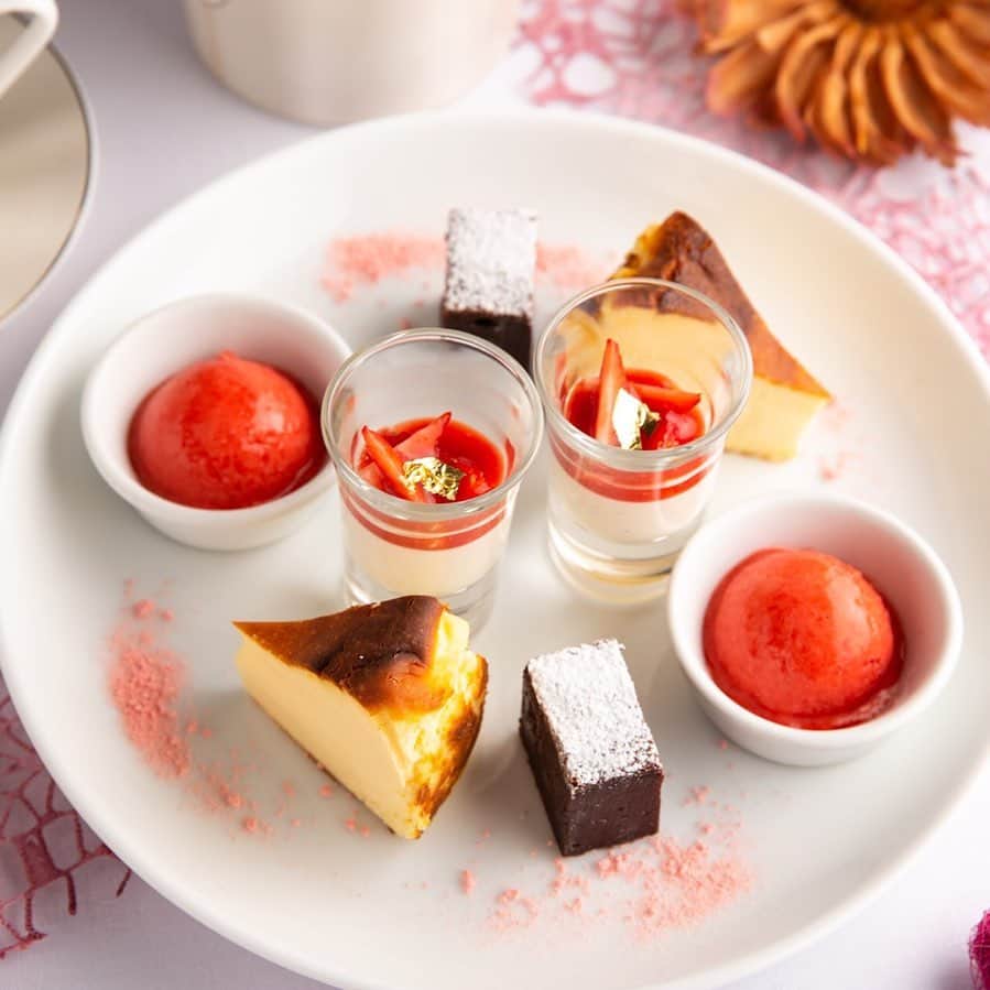 ステラートのグルメインスタ