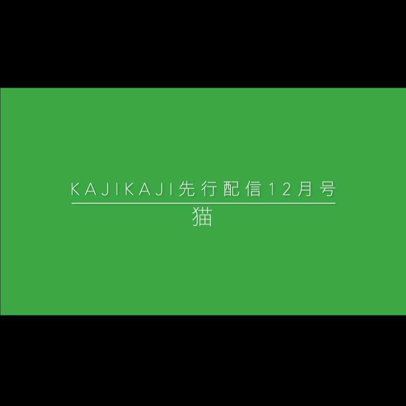 梶有紀子さんのインスタグラム写真 - (梶有紀子Instagram)「. ※写真は12月号と書いてますが1月号です😭 . 梶有紀子 Official Web Fan Club KAJIKAJI NEWS📰 . 【KAJIKAJI先行配信1月号】猫 公開しました！ https://community.camp-fire.jp/projects/118457/activities/232578 . 今月は「猫/DISH//」をみなさまにお届けします。 . 以前からこの楽曲の素直な歌詞にひかれていて、あとはサビのインパクトや全体的な メロディも好きでした。色々な方がカバーしている楽曲ですが、 私もやってみたくて今月はこの曲にしました。 . 早速、ご覧下さい✌️ . まだの方は今すぐjoin！ https://camp-fire.jp/projects/view/118457 . #先行配信 #ファンクラブ #ファンクラブ限定 #joinnow #聴いてみて . . . #梶有紀子 #yukikokaji #シンガーソングライター #弾き語り #ギター弾き語り #ギター女子 #ギター好きな人と繋がりたい #jpopmusic #japanesemusician #singerslife #japanesesong #音楽好きな人と繋がりたい #instamusiciansdaily #musiciandaily #音楽家 #日常の幸せ #シンガーソングライターと繋がりたい」1月12日 19時00分 - kajiyukiko1112