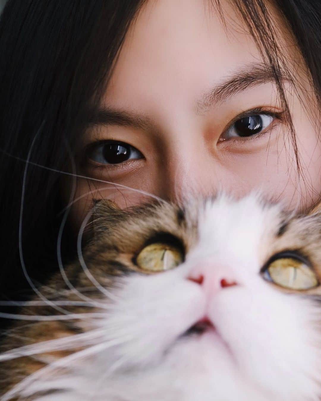 恒松祐里さんのインスタグラム写真 - (恒松祐里Instagram)「cat & I 🖤 #cateyes  #houseguardcatcharlie」1月12日 19時01分 - yuri_tune