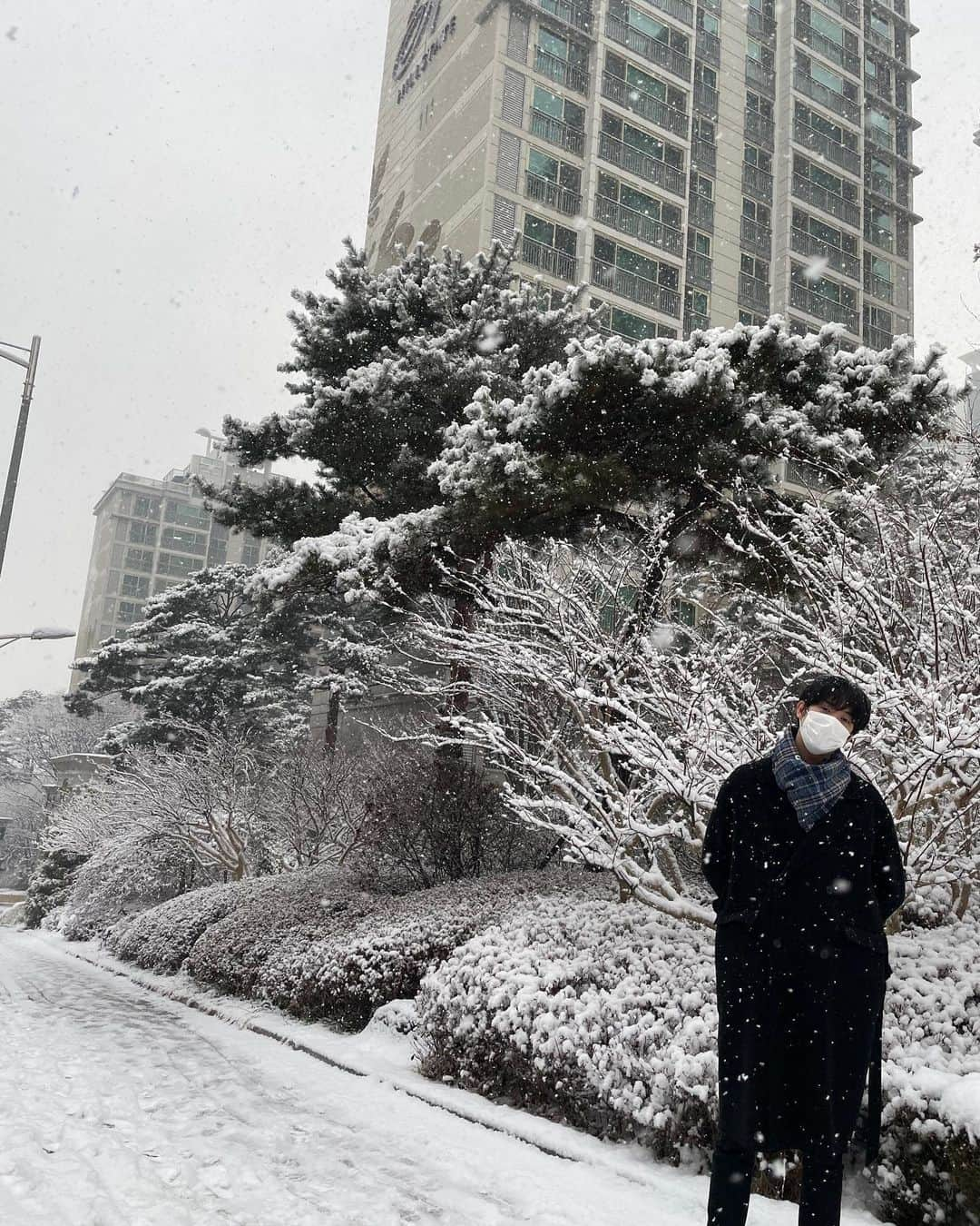 寺田拓哉さんのインスタグラム写真 - (寺田拓哉Instagram)「❄️ 오늘도 2차 재난영화 개봉 먼 산 보는척 ... #가오나시 #☃️아닙니다」1月12日 19時10分 - taku_march