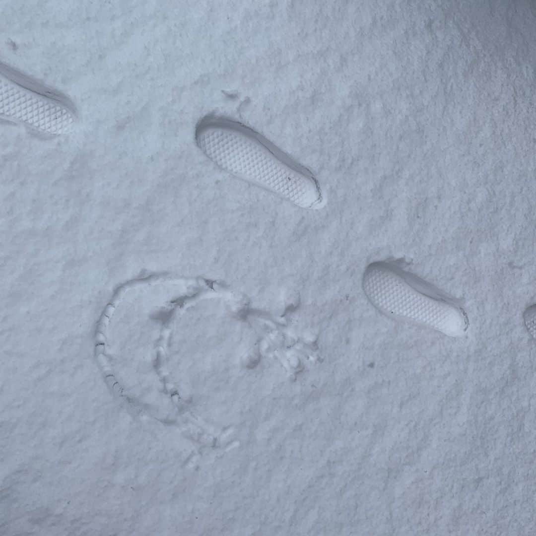 小林恵月さんのインスタグラム写真 - (小林恵月Instagram)「・ ⭐️🌙 ・ 誰の足跡でしょ〜う👣 ・ ちょっと事件があって 1枚目の雪だるまが土だらけになってしまったの（ ; ; ） ベレー帽バージョン作り直しました☃️笑 お父さんと一緒に雪かき🔥🐮 おうちを雪だるまが見守ってくれてます🏠 ・」1月12日 19時18分 - ezuki_kobayashi