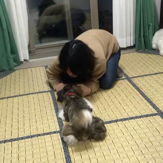 OKのインスタグラム：「目線鬼ごっこほぼムツゴロウ」