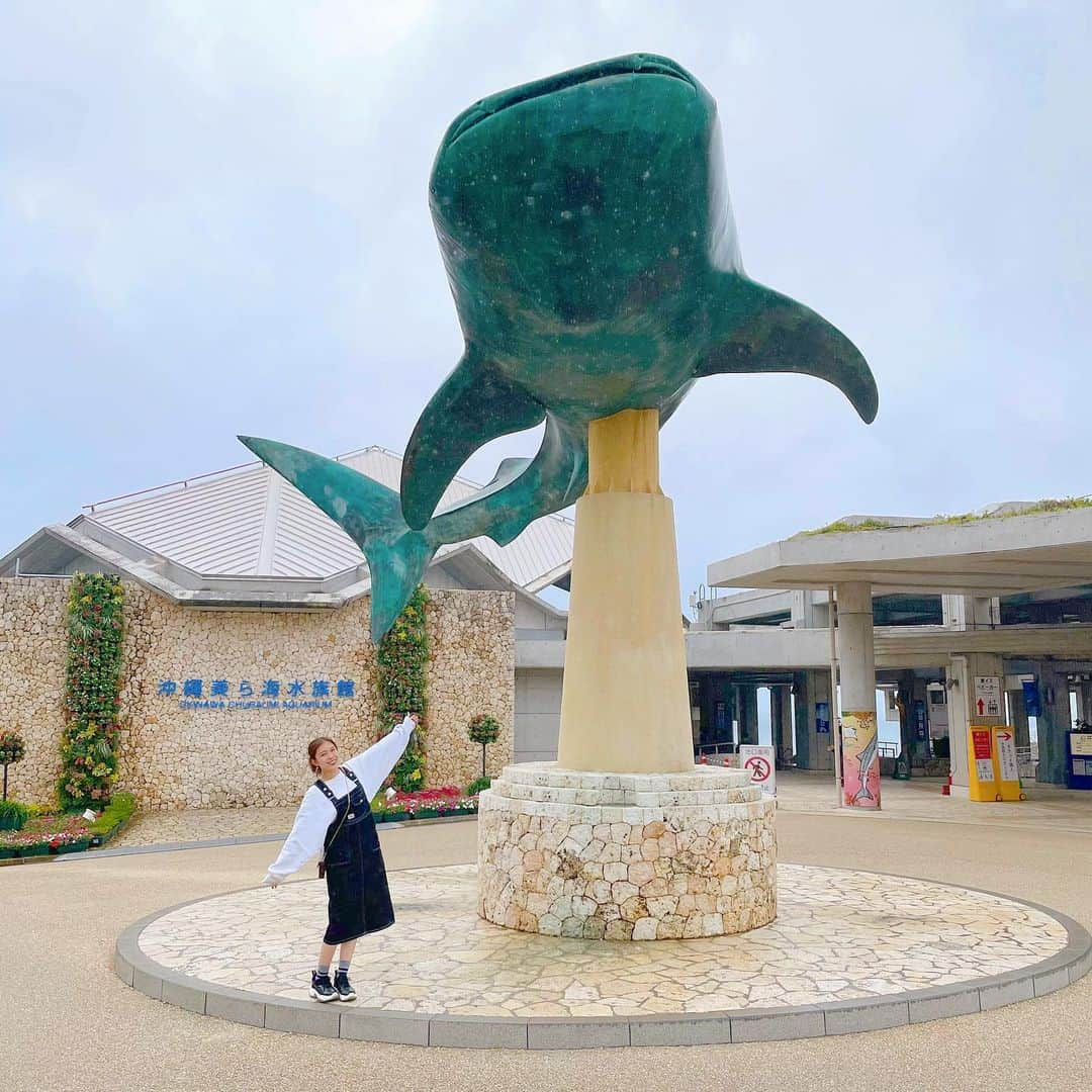 小嶋菜月さんのインスタグラム写真 - (小嶋菜月Instagram)「美ら海水族館🐳 . . 実は去年、沖縄に行ってきました☺️ . . ずーとずーと行ってみたかった 沖縄美ら海水族館にも行けたのー🥺❤️ . . 念願だったから感動しました✨ . . みんなは水族館好き？私は好き🥰 . . #沖縄 #美ら海水族館 #水族館 #🐬」1月12日 19時56分 - kojimanatsuki_offical