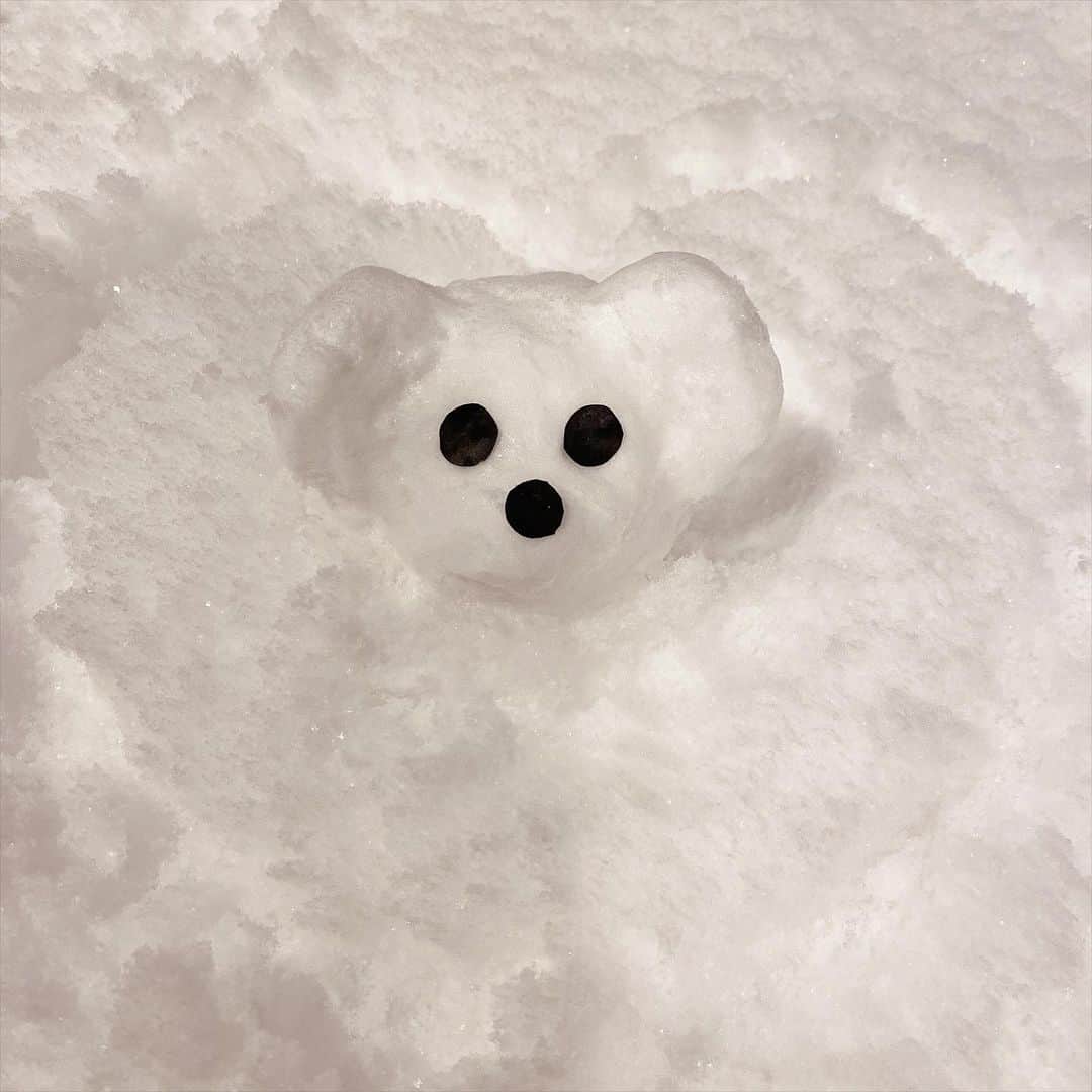 チョン・ユミのインスタグラム：「🐻‍❄️」